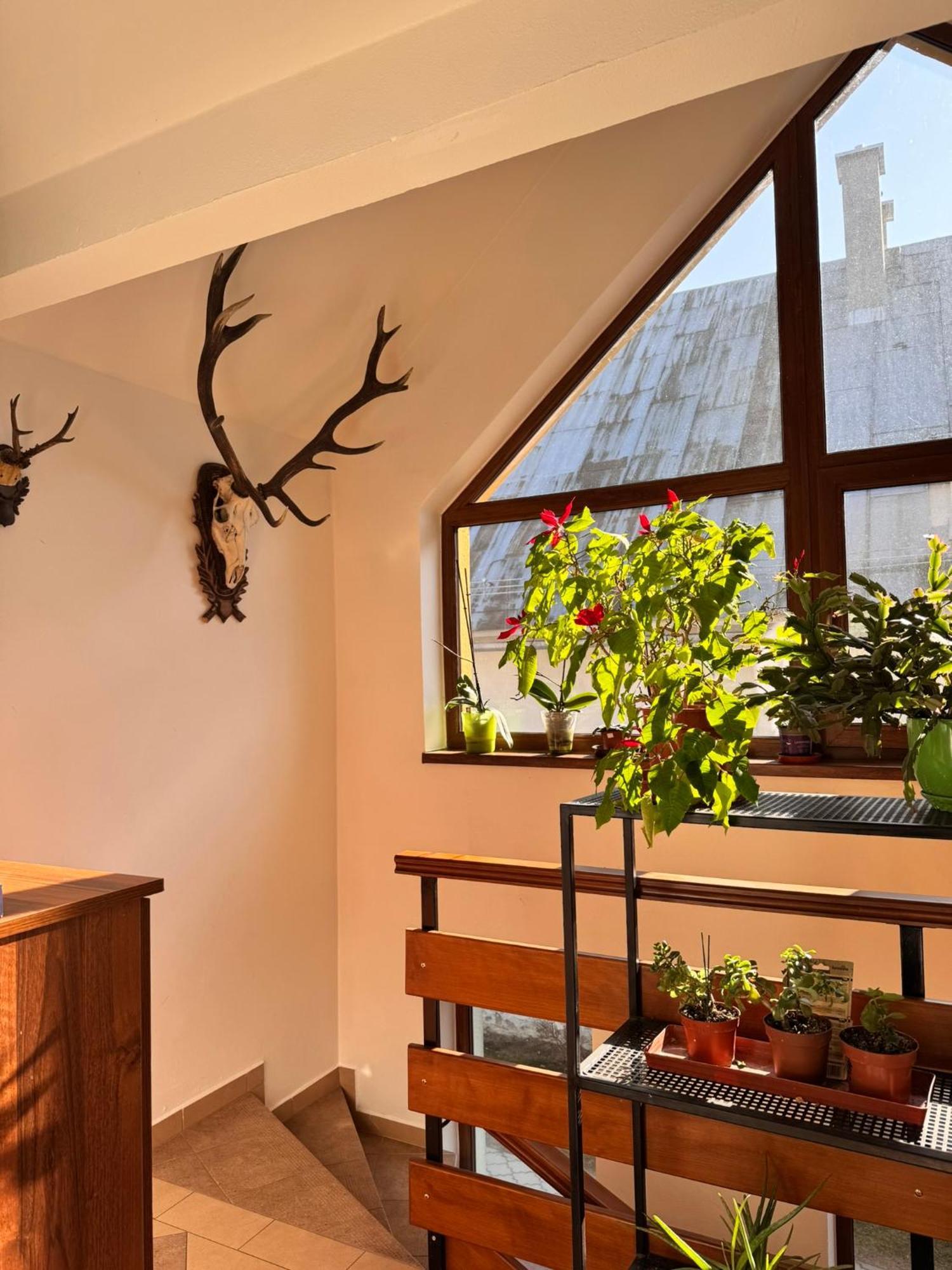 Apartmany Kenka Spisska Stara Ves Bagian luar foto