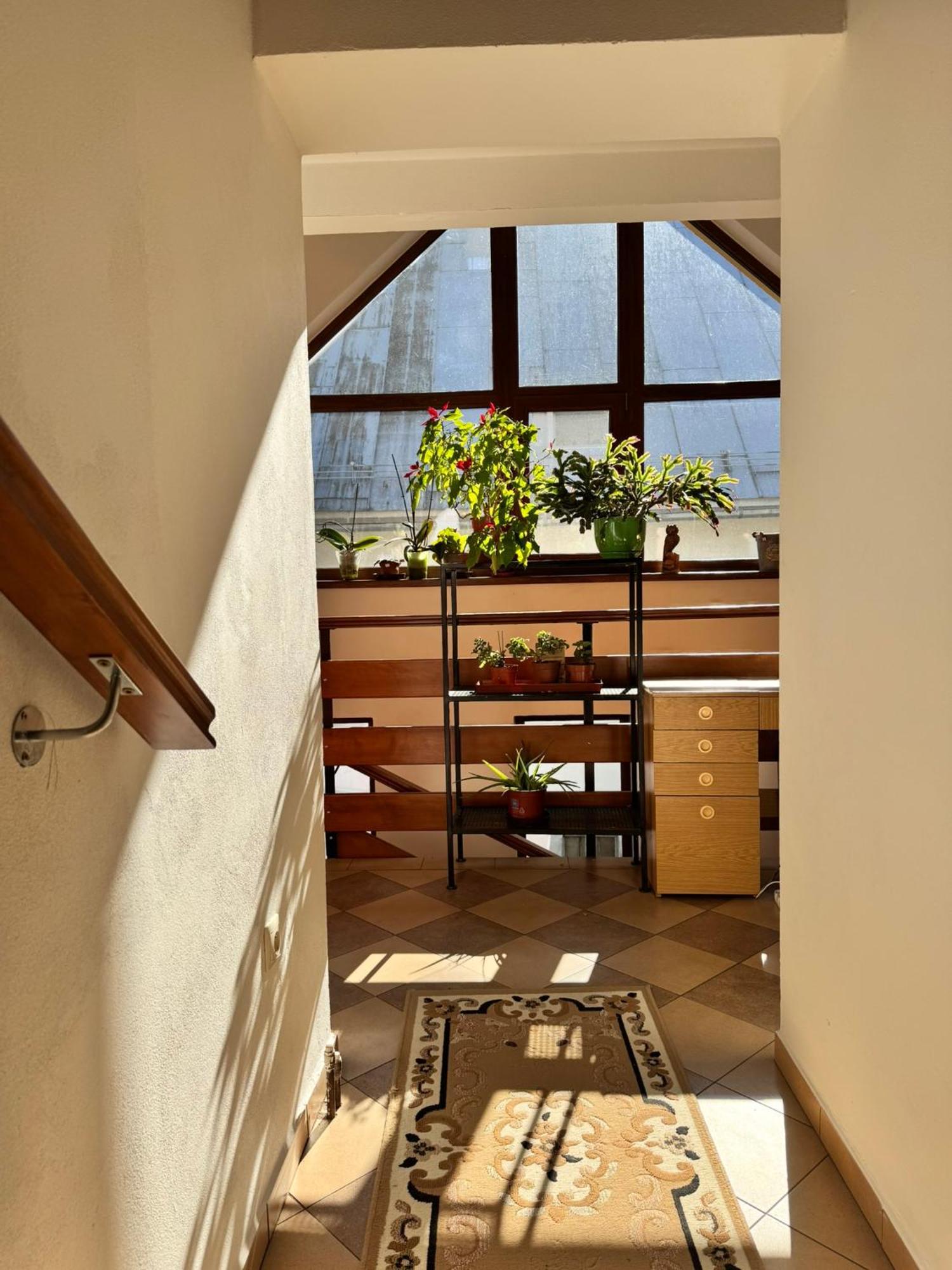 Apartmany Kenka Spisska Stara Ves Bagian luar foto