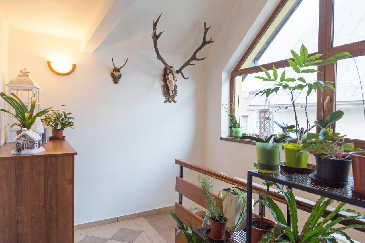 Apartmany Kenka Spisska Stara Ves Bagian luar foto